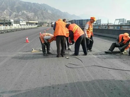 东城街道道路桥梁病害治理